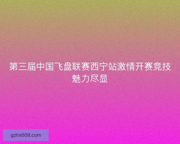第三届中国飞盘联赛西宁站激情开赛竞技魅力尽显 第三届中国飞盘联赛西宁站激情开赛竞技魅力尽显